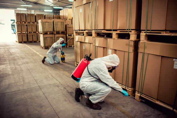 Best Termite Control Services  in Kentwood, MI