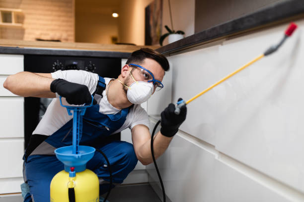 Flea Control Services in Kentwood, MI