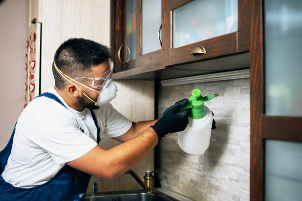 Best Wasp Removal Services  in Kentwood, MI
