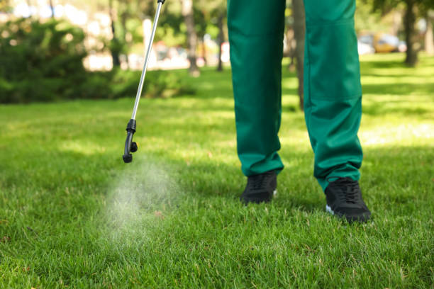 Best Local Pest Control Services  in Kentwood, MI