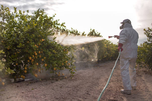 Best Affordable Pest Control Services  in Kentwood, MI