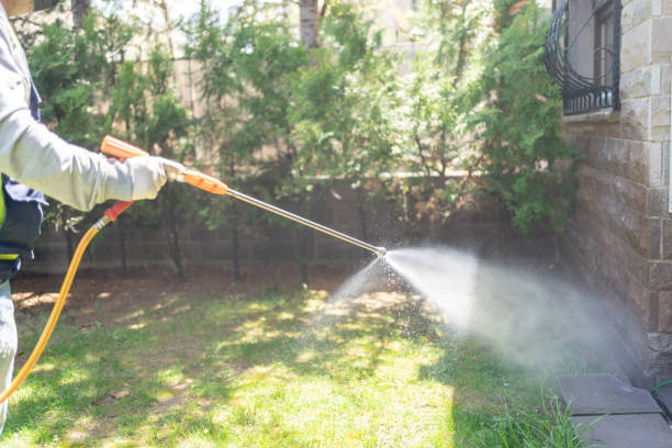 Best Best Pest Control Companies  in Kentwood, MI
