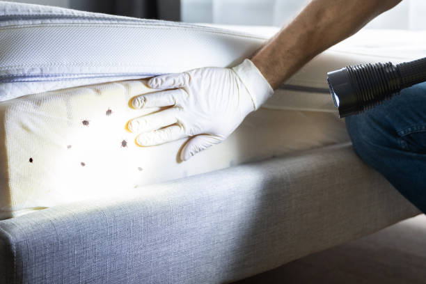 Best Flea Control Services  in Kentwood, MI