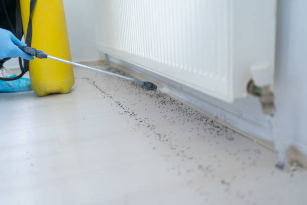 Best Pest Prevention Services  in Kentwood, MI