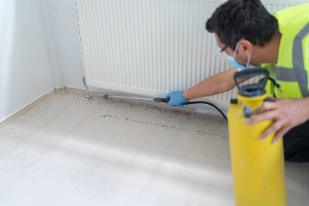 Best Exterminator Services  in Kentwood, MI