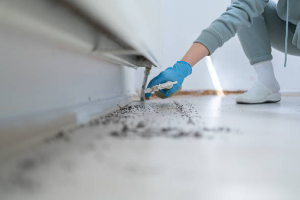 Best Best Pest Control Companies  in Kentwood, MI